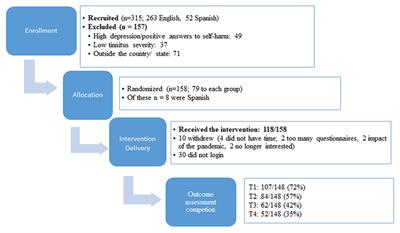 Patient Uptake, Experiences, and Process Evaluation of a Randomized Controlled Trial of Internet-Based Cognitive Behavioral Therapy for Tinnitus in the United States
